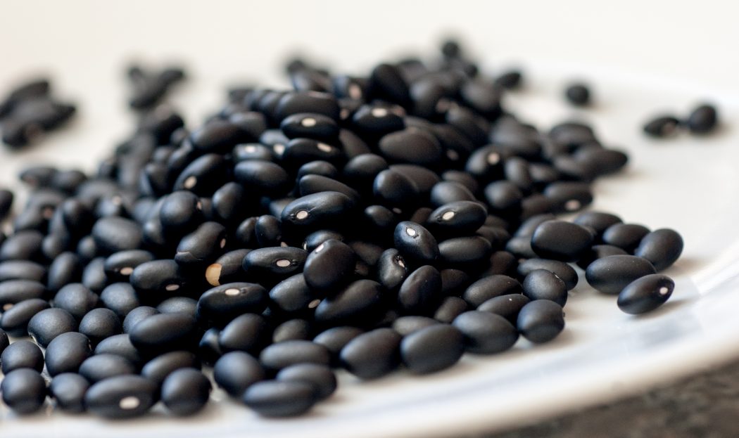 Black Beans for Weight Loss - 15 Healthy Foods That Make You Feel Fuller for Longer