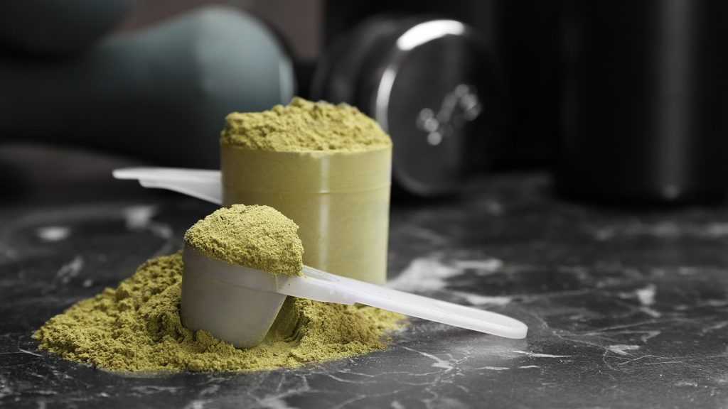 Best Plant Based Protein Powder for Weight Loss Review